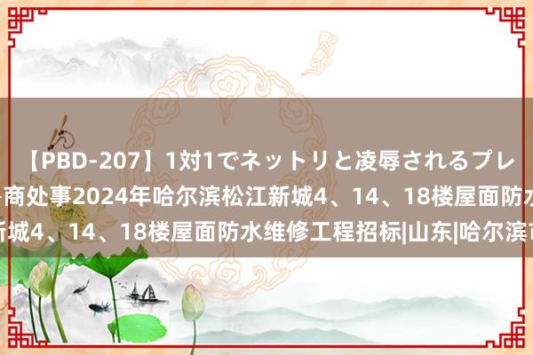 【PBD-207】1対1でネットリと凌辱されるプレミア女優たち 8時間 鲁商处事2024年哈尔滨松江新城4、14、18楼屋面防水维修工程招标|山东|哈尔滨市