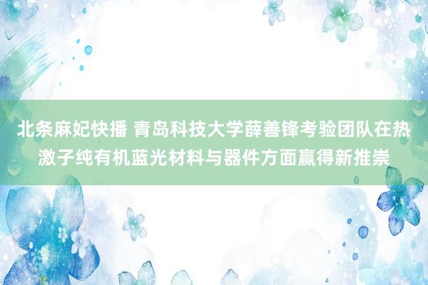 北条麻妃快播 青岛科技大学薛善锋考验团队在热激子纯有机蓝光材料与器件方面赢得新推崇