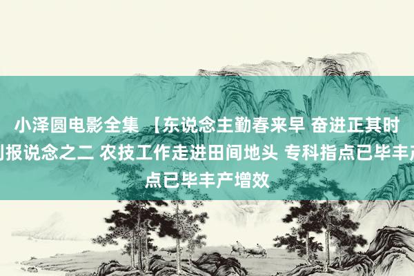 小泽圆电影全集 【东说念主勤春来早 奋进正其时】系列报说念之二 农技工作走进田间地头 专科指点已毕丰产增效