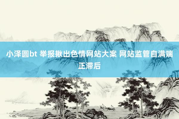 小泽圆bt 举报揪出色情网站大案 网站监管自满端正滞后