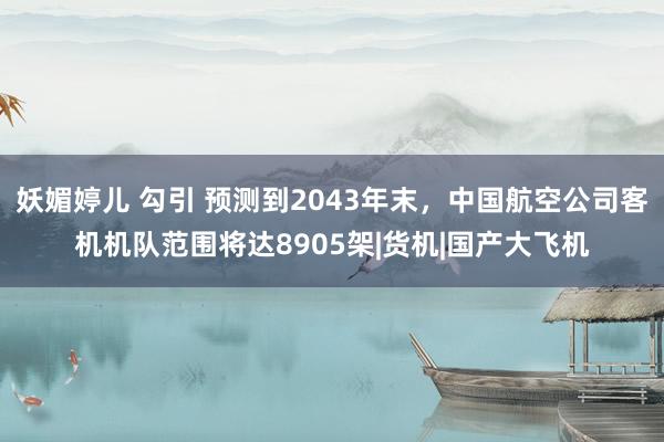 妖媚婷儿 勾引 预测到2043年末,中国航空公司客机机队范围将达8905架|货机|国产大飞机