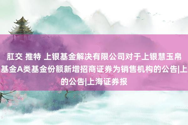 肛交 推特 上银基金解决有限公司对于上银慧玉帛货币市集基金A类基金份额新增招商证券为销售机构的公告|上海证券报